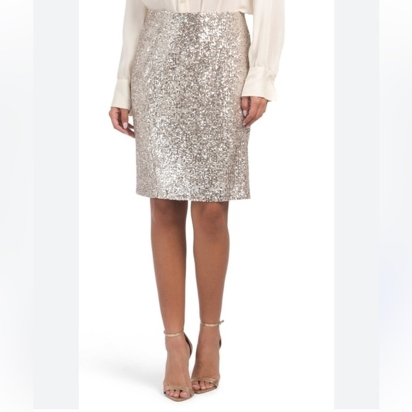 NWT Cable & Gauge Champagne Sequin Skirt S - Picture 1 of 12